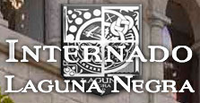 Logotipo de la Serie El Internado - Laguna Negra